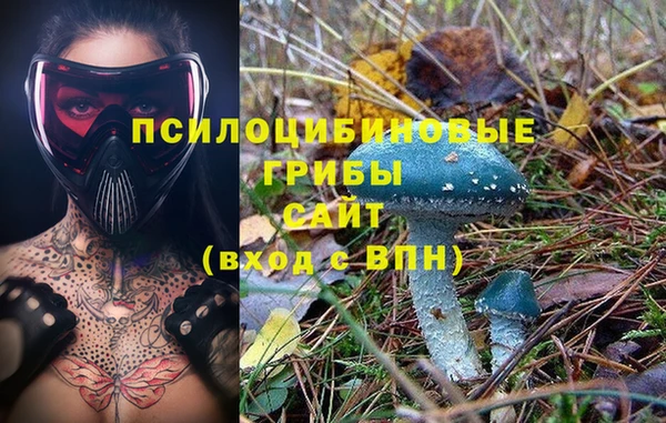 ешки Алзамай