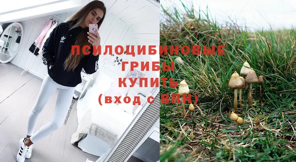 ешки Алзамай