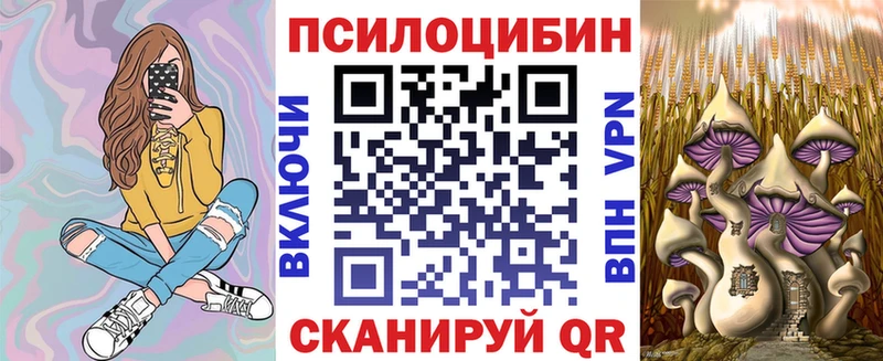 Галлюциногенные грибы Psilocybe  наркота  Богучар 
